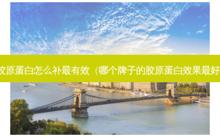 胶原蛋白怎么补有效（哪个牌子的胶原蛋白效果好）