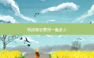 韩国整容费用一般多少