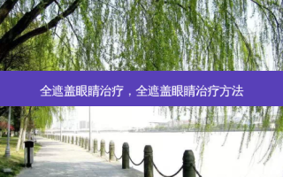 全遮盖眼睛，全遮盖眼睛方法