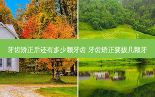 牙齿矫正后还有多少颗牙齿 牙齿矫正要拔几颗牙
