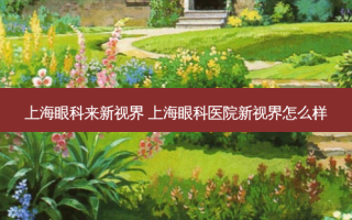 上海眼科来新视界 上海眼科医院新视界怎么样