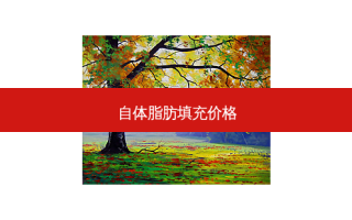 自体脂肪填充价格