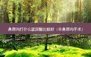 鼻唇沟打什么玻尿酸比较好（丰鼻唇沟手术）