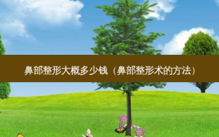 鼻部整形大概多少钱（鼻部整形术的方法）
