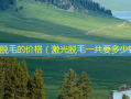激光脱毛的价格（激光脱毛一共要多少钱）