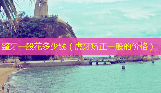 整牙一般花多少钱(虎牙矫正一般的价格)-第1张图片-唯美资讯网 整牙一般花多少钱(虎牙矫正一般的价格)-第1张图片-唯美资讯网