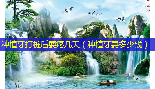 种植牙打桩后要疼几天(种植牙要多少钱)-第1张图片-唯美资讯网 种植牙打桩后要疼几天(种植牙要多少钱)-第1张图片-唯美资讯网